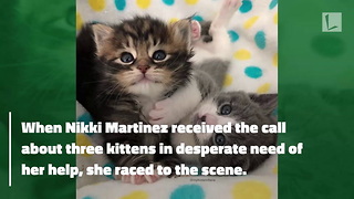 Foster Mom Pours Heart into Saving Kittens, Chokes Up as She Hands Them to New Family