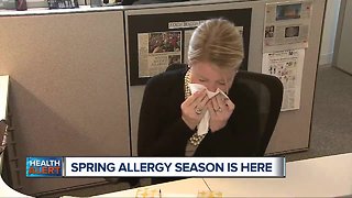 Spring allergy season 2019 is already here. Here's how to treat your symptoms