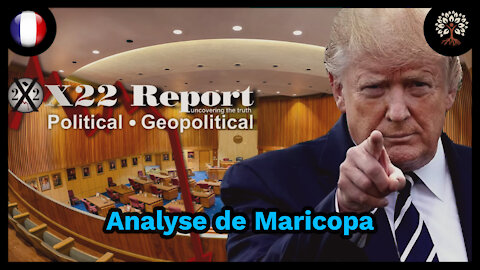 Analyse de l'audit de Maricopa par X22 reports