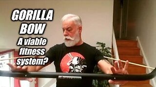 Is Gorilla Bow a viable fitness system? Yes.