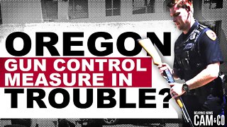 Oregon Gun Control Measure In Trouble?