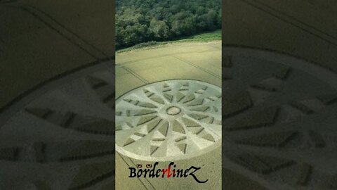 Il mistero dei cerchi nel grano (crop circle)