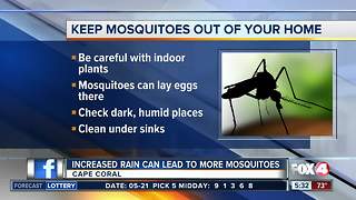 Protecting your home from mosquitoes after rain