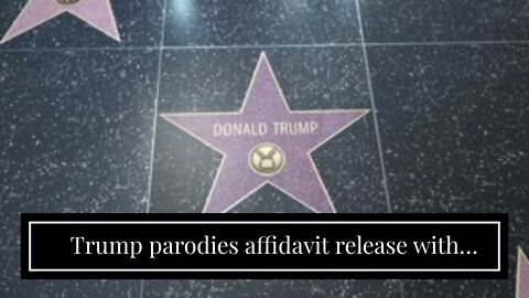 Trump parodies affidavit release with heavily redacted press statement