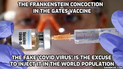 Former FEMA operative Celeste Solum on what she says is in the Gates vaccine!