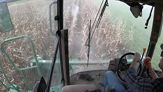 Combine Corn with me!