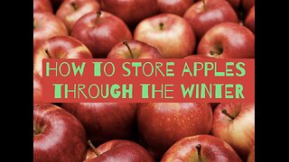 How to store apples through the winter!