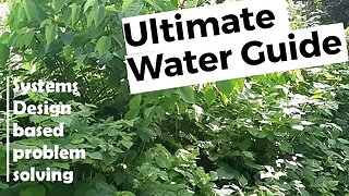 Ultimate food forest garden watering guide - part 1