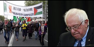 Bernie Heckled By Protesters In Ireland Over The Word Genocide & Briahna Joy Gray VS Dean Phillips