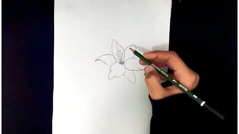 How To Draw Flowers Easy