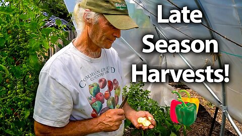 His Season of Growing is about to finish!🌶️ Late Season Harvests + Summer Plans!