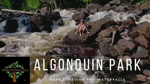 Algonquin Park part 3