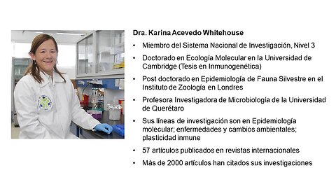 Dra. Karina Acevedo Whitehouse habla de la toxicidad del CeDeSe