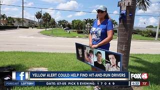 How 'Yellow Alert' helps police catch hit-and-run drivers