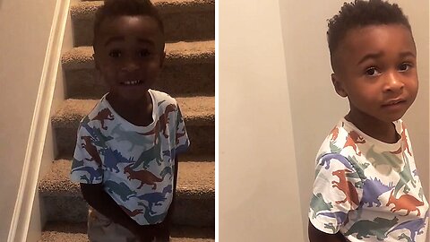Little Boy Gives Creative Excuses After Getting Busted Sneaking Snacks