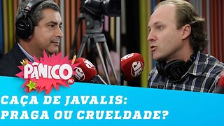 Deputados discutem caça de javalis: 'Virou uma praga'