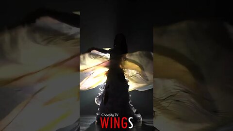 🐧 #WINGS - Graceful Lace and Wings, Dancer's Mesmerizing Steps Enchanting the Night 🐦
