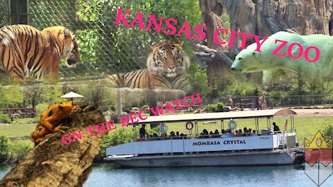 BEC Watch Entries: #1 Kansas City Zoo