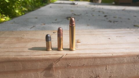 .22 Ammo Comparison