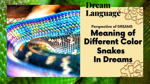 Different Colors Of Snakes In Dreams | Biblical Perspectives