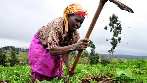 WHAT DOES THE FUTURE HOLD FOR AFRICA'S AGRICULTURE