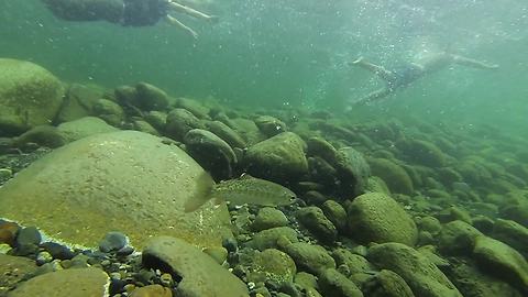 GoPro cam swept away in river captures beautiful footage