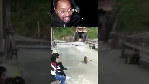 THIS DUDE PUSHED THE MONKEY INTO THE WATER