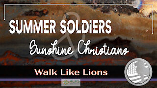 "Summer and Sunshine" Walk Like Lions Christian Daily Devotion with Chappy July 5, 2021