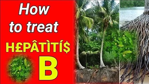H£PATITI$ B Remedy | Heal Yourself GH | Heal Yourself Herbal #subscribe #share #like #comment #cr7