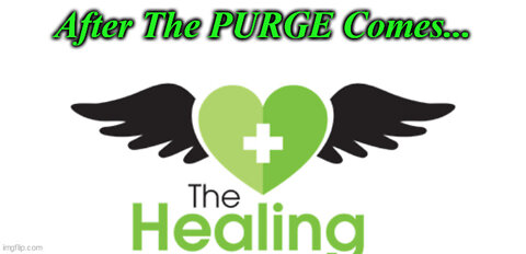 After The PURGE Comes...HEALING