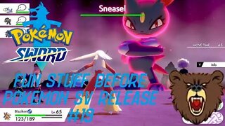 Doing Fun Stuff Before Pokemon SV Release: Pokemon Sword #19