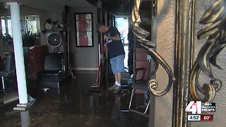 Recent rain leaving homeowners tackling mold, bugs