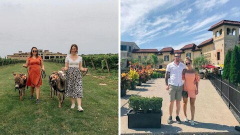 You Can Sip Wine & Meet Donkeys At This Ontario Vineyard That Feels Like A Trip To Italy