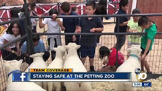 Staying safe at petting zoos