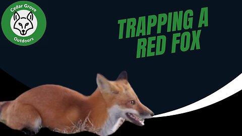 S.2 E.11 Trapping a Red Fox