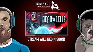 Animal Rescue Plays - Dead Cells *How to git gud...No really, how do I get good?*