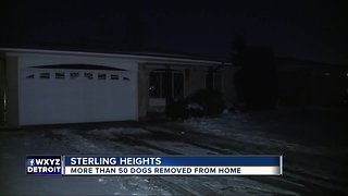 52 dogs rescued from Sterling Heights home during eviction