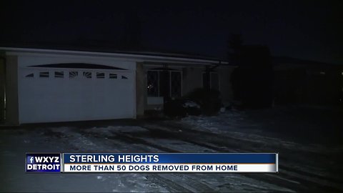 52 dogs rescued from Sterling Heights home during eviction