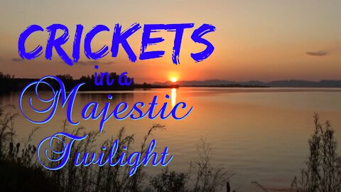 Crickets in a Majestic Twilight | 15 Minutes of Twilight | Ambient Sound | What Else Is There?