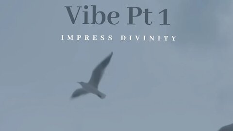 Vibe Pt 1 ( Prod by. @Feltwrath)