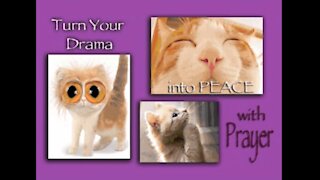 Turn Your Drama Into Peace