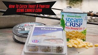 How To Catch Trout & Panfish Using CANNED CORN. ( TWO METHODS!!)
