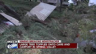 Large tree falls onto carport at Spring Valley apartment complex