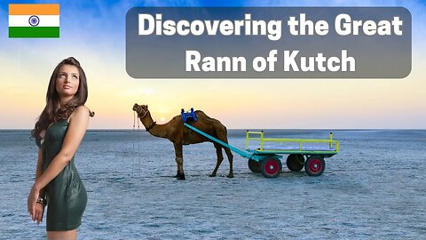 Lost in the White Sands | Exploring the Great Rann of Kutch