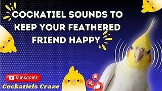 Cockatiel Sounds to Keep Your Feathered Friend Happy and Social