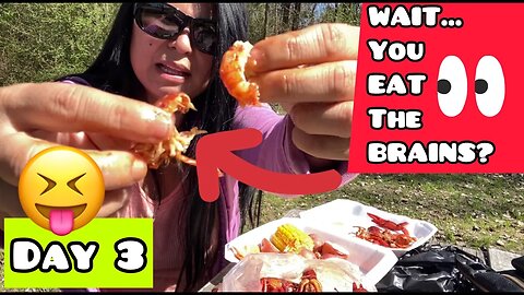 DAY 3: LOUISIANA TO TEXAS | Crawfish Boil, Cracker Barrel | Solo Female Travel VanLife | Van Life