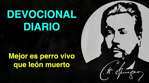 Mejor es perro vivo que león muerto. (Eclesiastés 9:4) Devocional de hoy Charles Spurgeon