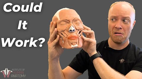 How Long Does a Head Transplant Take?