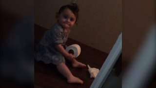 Baby Girl Pulls Toilet Paper Joke On Dad