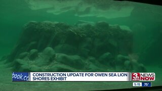 Zoo leaders provide update on progress of sea lion exhibit